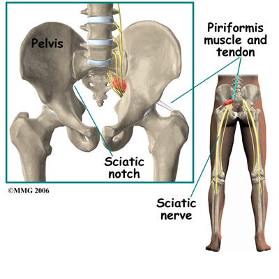 Nerve Path