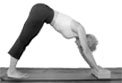 Downward Facing Dog with Blocks