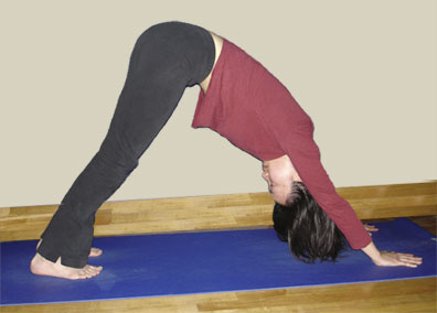 Peggy Wen Downward Facing Dog