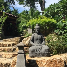 Costa_Rica_Retreat_Buddha
